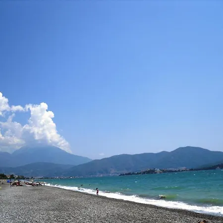 Orka Palm Villas Apartman *